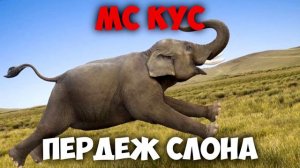 МС КУС - ПЕРДЕЖ СЛОНА