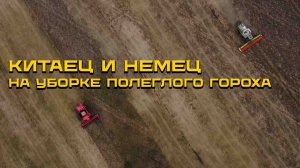 Китаец и немец на поле полеглого гороха с сорняком / Кемеровская область / AGRO-LIDER FD 6300