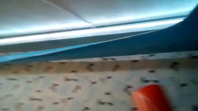 Монтаж двухуровневого натяжного потолка с подсветкой | QUADRO смотреть онлайн