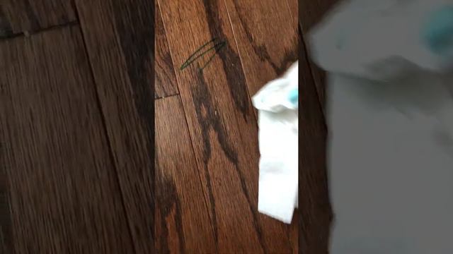 How to get Sharpie Marker off wood laminate flooring