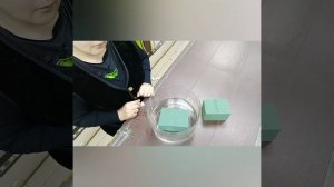 Как правильно замачивать оазис. Флористическую губку.