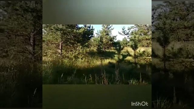 Песня"Нарисуй это мир" Коментари напиши не мимо,/ Анна.Б. смотреть онлайн