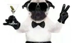 Королева танцпола песня топ 1 🔥🔥🔥🔥🔥