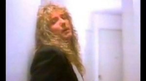 Whitesnake