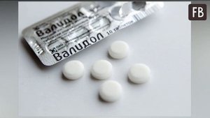 Кроты обходят мой дачный участок стороной. А все благодаря "Валидолу"