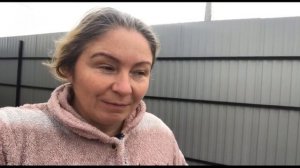 Вся правда о том , как правда  посадить семена шиповника на подвой собственными руками.