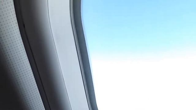 FLIGHT REPORT Aeroflot Airbus A330 MOSCOW SVO - ISTANBUL IST Business Class