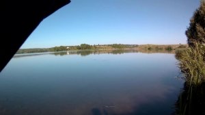 Ловля карася.Рыбалка на Щёкинском водохранилище.
