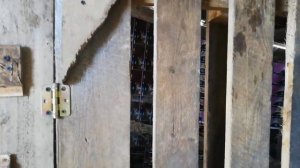 Станок для дойки козы.Загон для коз