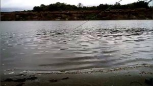 Рыбалка кастинговой сетью. Алтайский край река Чумыш.