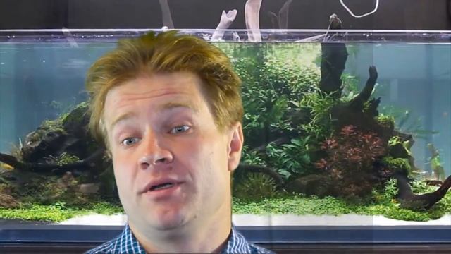 Природный аквариум. Nature Aquarium.