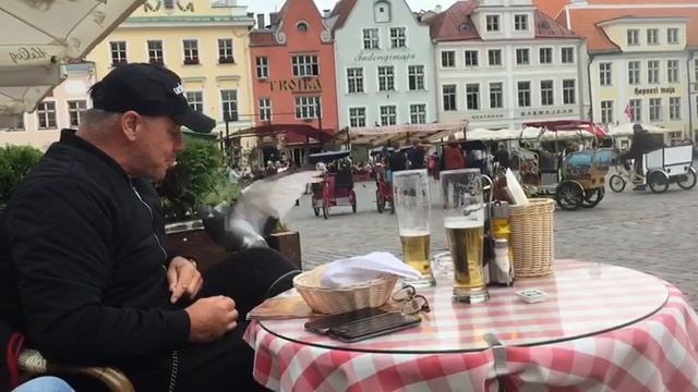 Тилль Линдеманн Till Lindemann кормит голубей