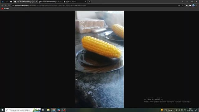 image logger roblox beam смотреть онлайн