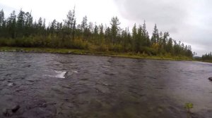 Как я за Тайменем ходил. Плато Путорана, р.Тутончана. Часть 1.