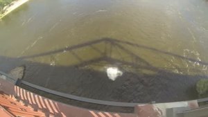 Прыжок с пешеходного моста в воду