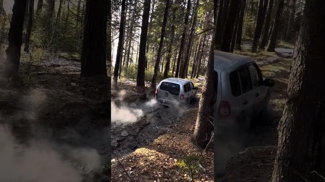 28 октября 2023 г. смотреть онлайн