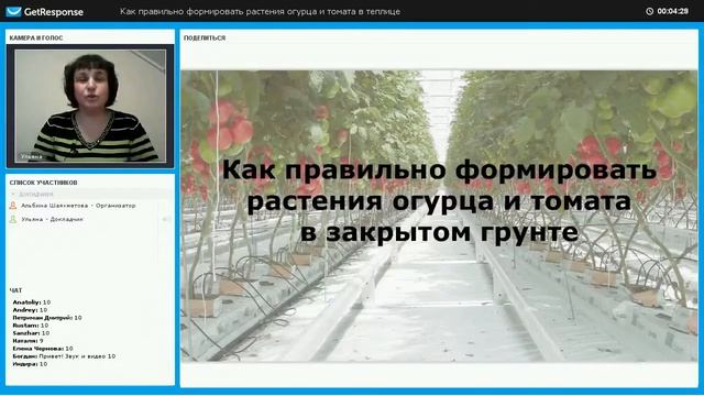 Общие понятия по формированию растений огурца