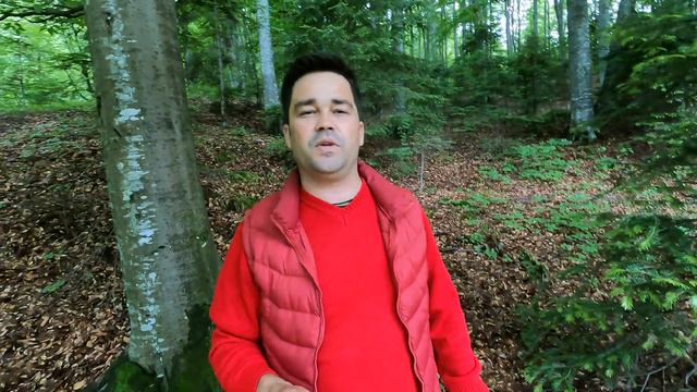 Remediu natural pentru tuse! Curata plămânii și stimulează imunitatea ! смотреть онлайн