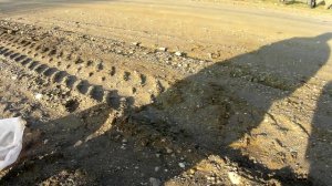 Тест ПЕТАРД