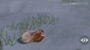 Wild craft сериал : История 9-тихвостой лисицы