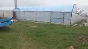 18:18:18 зачем нужен для клубники ?