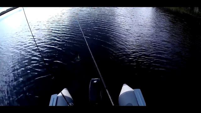 Ловля щуки на Преголе 19.05.2016 г смотреть онлайн