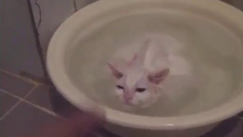 Самые смешные приколы!