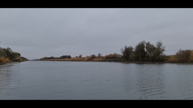 Осенний ЖОР щуки и окуня на микроджиг! Необычный твистер на щуку!