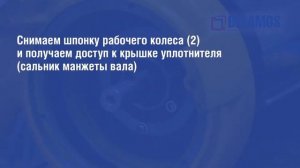 Порядок разборки дренажных насосов серии DWP (CS)