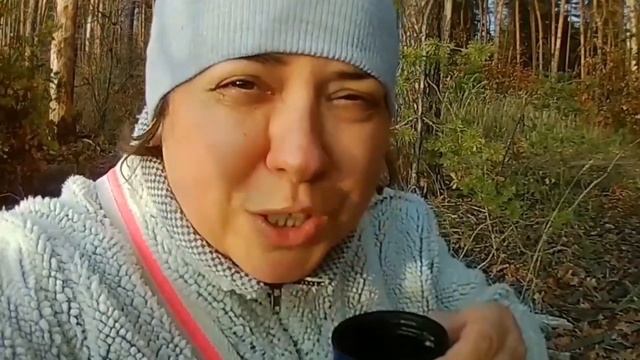 МОЙ РАЦИОН ПИТАНИЯ НА ОДИН ДЕНЬ С ПРОГУЛКОЙ ПО ЛЕСУ И РЕЦЕПТОМ . КОТ МЕНЯ ЛЕЧИТ . смотреть онлайн