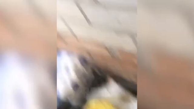 прекрасный выстрел.MP4