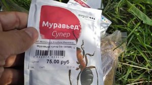 Огурцы в беде. Тля, мушка. Часть 1.