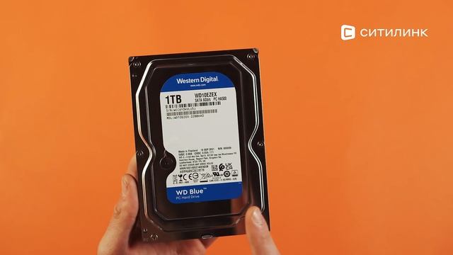 Обзор жесткого диска WD Caviar Blue WD10EZEX | Ситилинк смотреть онлайн
