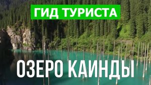 Озеро Каинды в Казахстане | Видео в 4к с дрона | Озеро Каинды с высоты птичьего полета