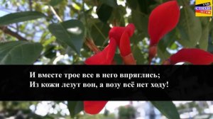 И.А. Крылов "Лебедь, щука и рак" | Учи стихи легко | Караоке | Аудио Стихи Слушать Онлайн