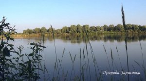 Река и Природа с Пением Птиц _ для Релакса и Медитации _ ?.mp4