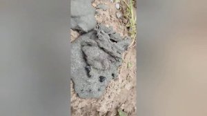 ст.Автоматика-2//Скважина на серых песках//Воды много,но с железом??//1800л/ч