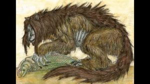 ✅Стена и монстры Австралии. Край Земли