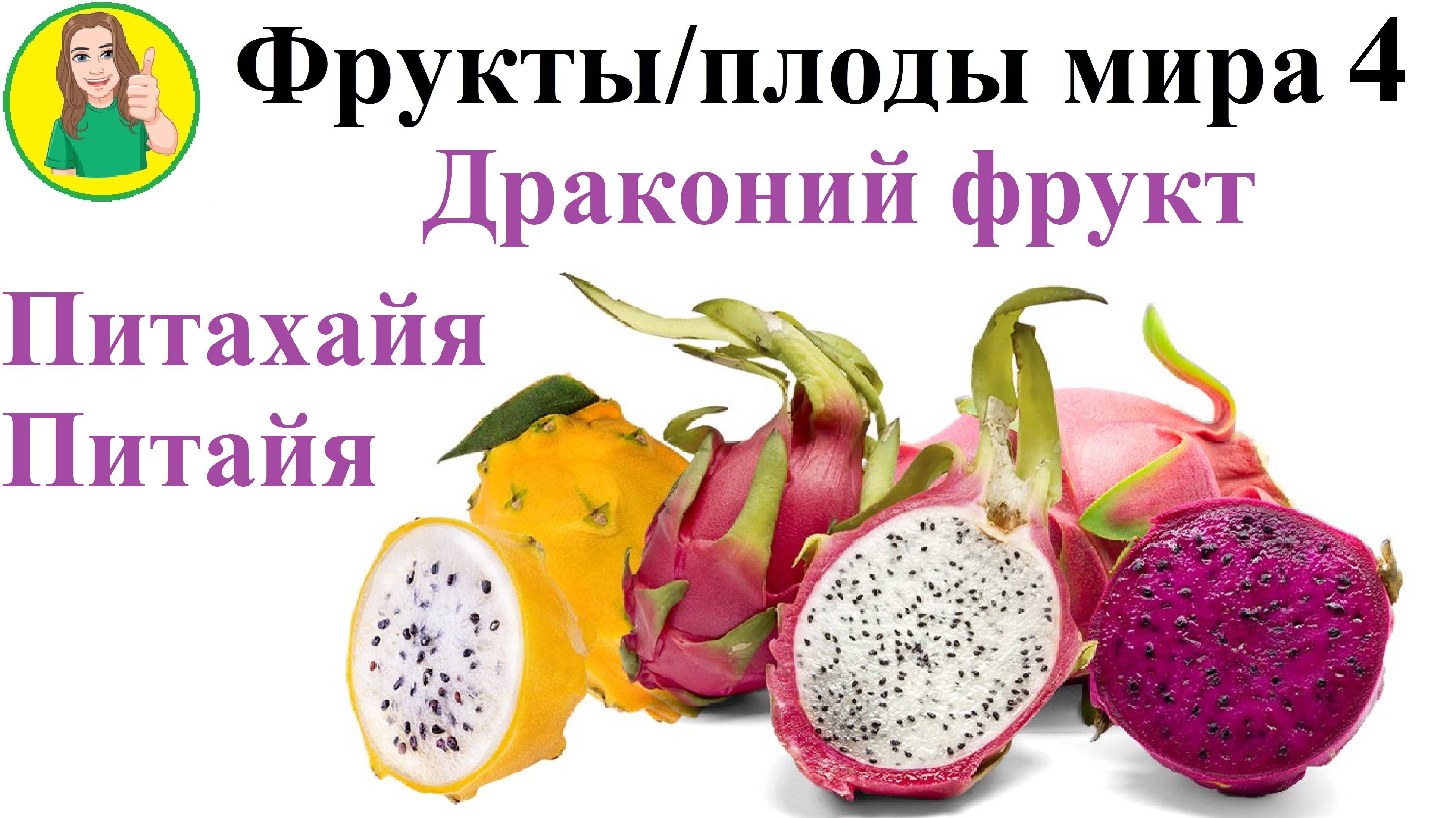 Фрукты - плоды мира 4 – Драконий фрукт Питахайя Питайя Сыроедение Фрукторианство