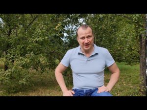 Какие городские недалекие (Как учительница цыплят чистила)