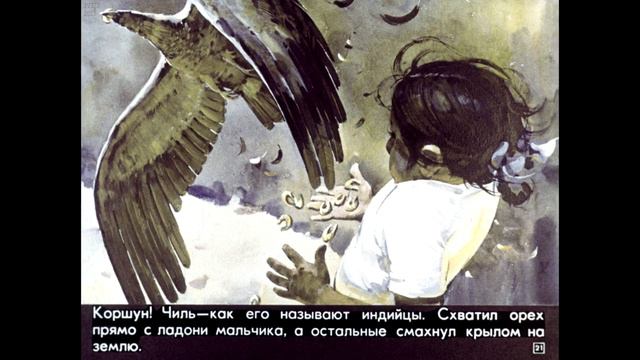 Диафильм Е.Суворова - Как живет Кеваль смотреть онлайн