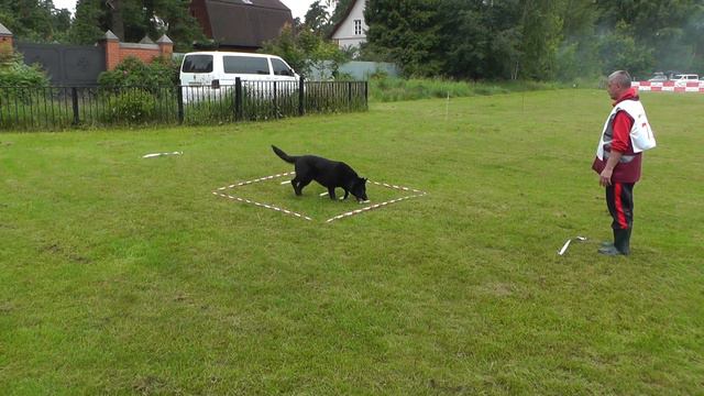 Чемпионат ЦФО 2017 г. по ОКД и ЗКС. смотреть онлайн