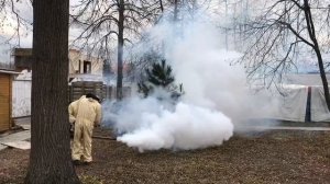 Обработка от короеда