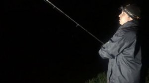 10.06.17 насаживаем лягушку на сома