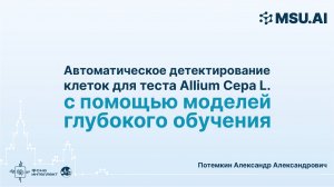 Автоматическое детектирование клеток для теста Allium Cepa L. с помощью моделей глубокого обучения