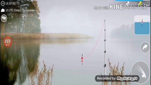 My Fishing World #17 // Рыбалка на Озере Вабакими.