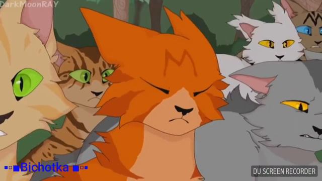 Гимн Котов - Воителей смотреть онлайн