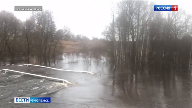 В Смоленской области в реку Десна из-за паводка попало топливо