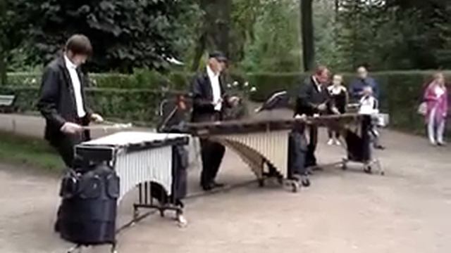Вибрафон, маримба и ксилофон Фанатик, любитель и профессионал