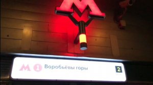 Воробьёвы горы